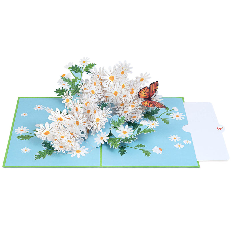 Margherita con carta pop-up farfalla